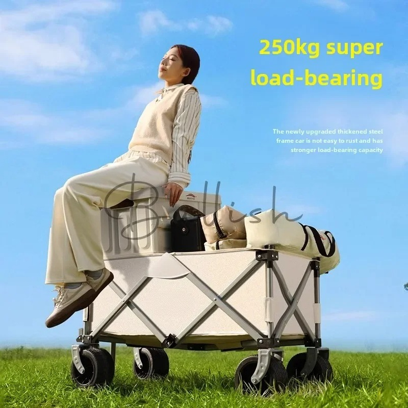 Carrinho de camping dobrável p - Outdoor Camping Trolley avaliação e preço