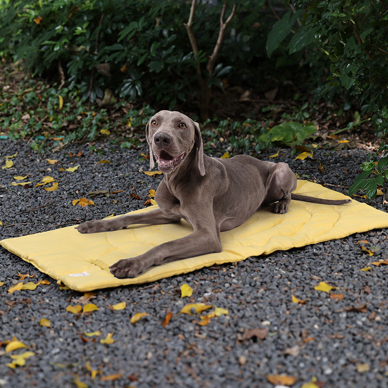 Portátil dobrável Pet Mat com  - Outdoor Camping Dog Bed avaliação e preço