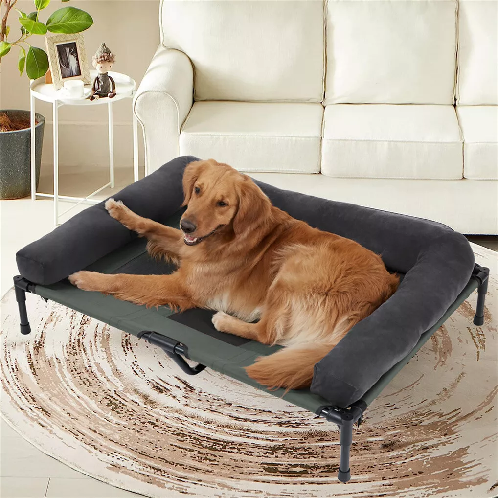 Cama Elevada para Cães BINGOPA - Bed Outdoor Camping avaliação e preço