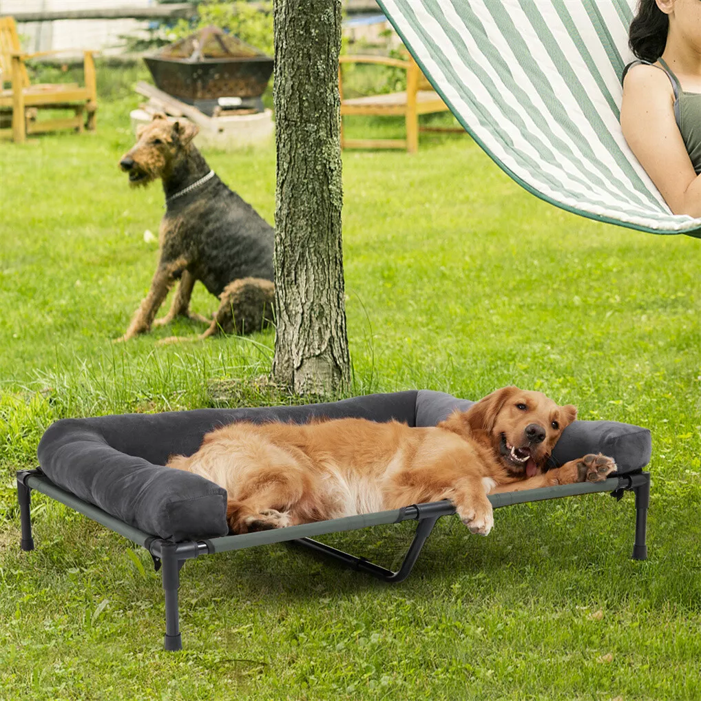 Cama Elevada para Cães BINGOPA - Bed Outdoor Camping avaliação e preço