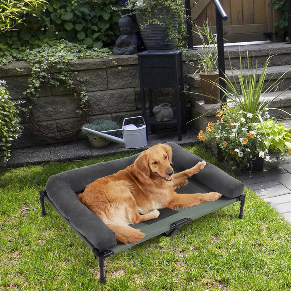 Cama Elevada para Cães BINGOPA - Bed Outdoor Camping avaliação e preço