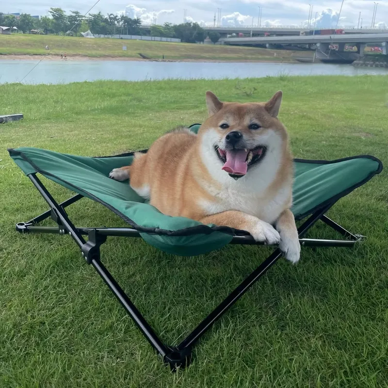 Cama Portátil Luxuosa e Modern - Outdoor Camping Dog Bed avaliação e preço